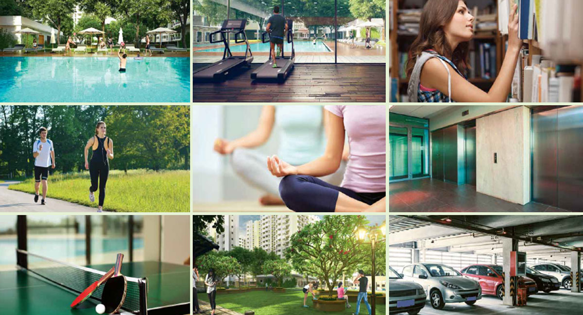 External Amenities